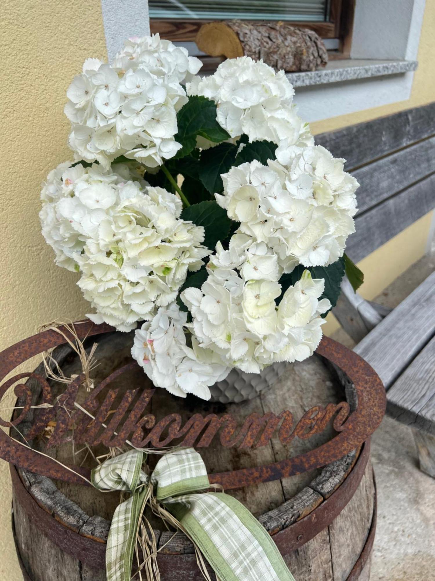 Ferienwohnung Steinbock Terrasse, Gartensauna, Garten, Grillplatz Стум Екстериор снимка